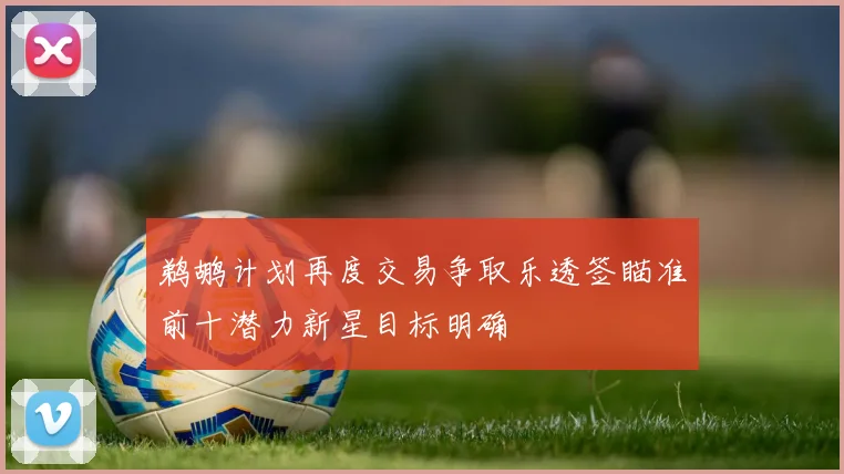 鹈鹕计划再度交易争取乐透签瞄准前十潜力新星目标明确